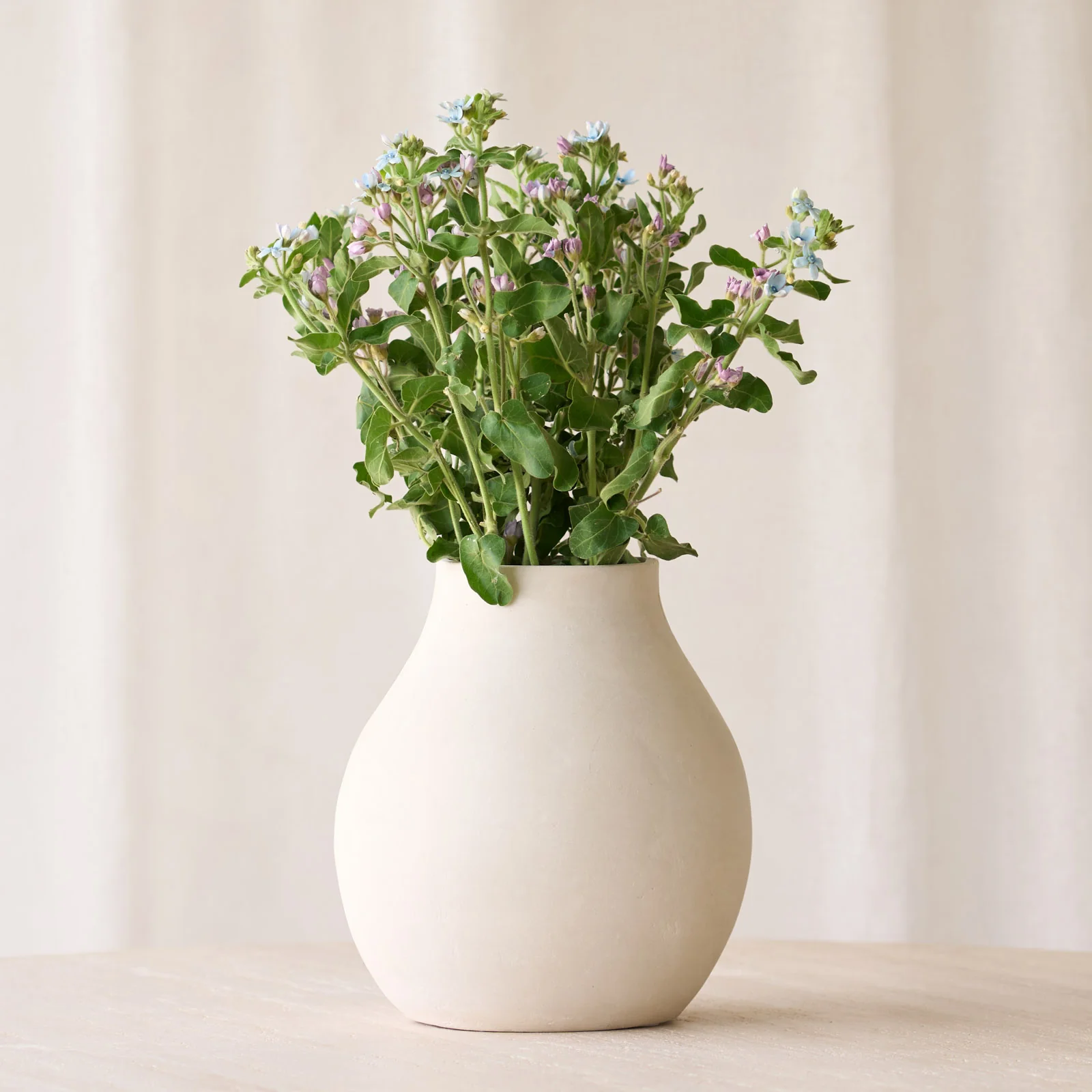 Norell Pot Deco | Natural - Image 5