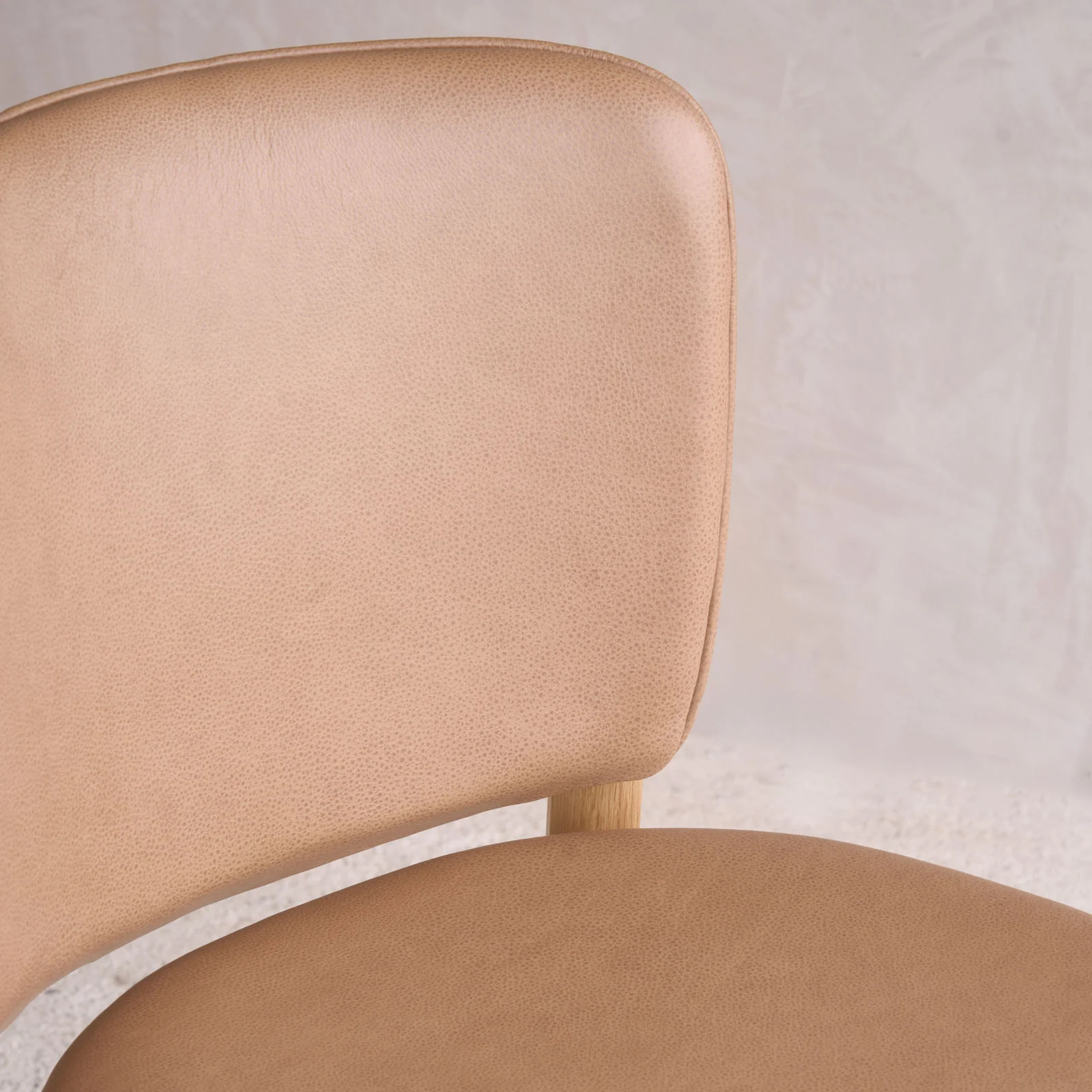 Pinta Dining Chair - Image 12