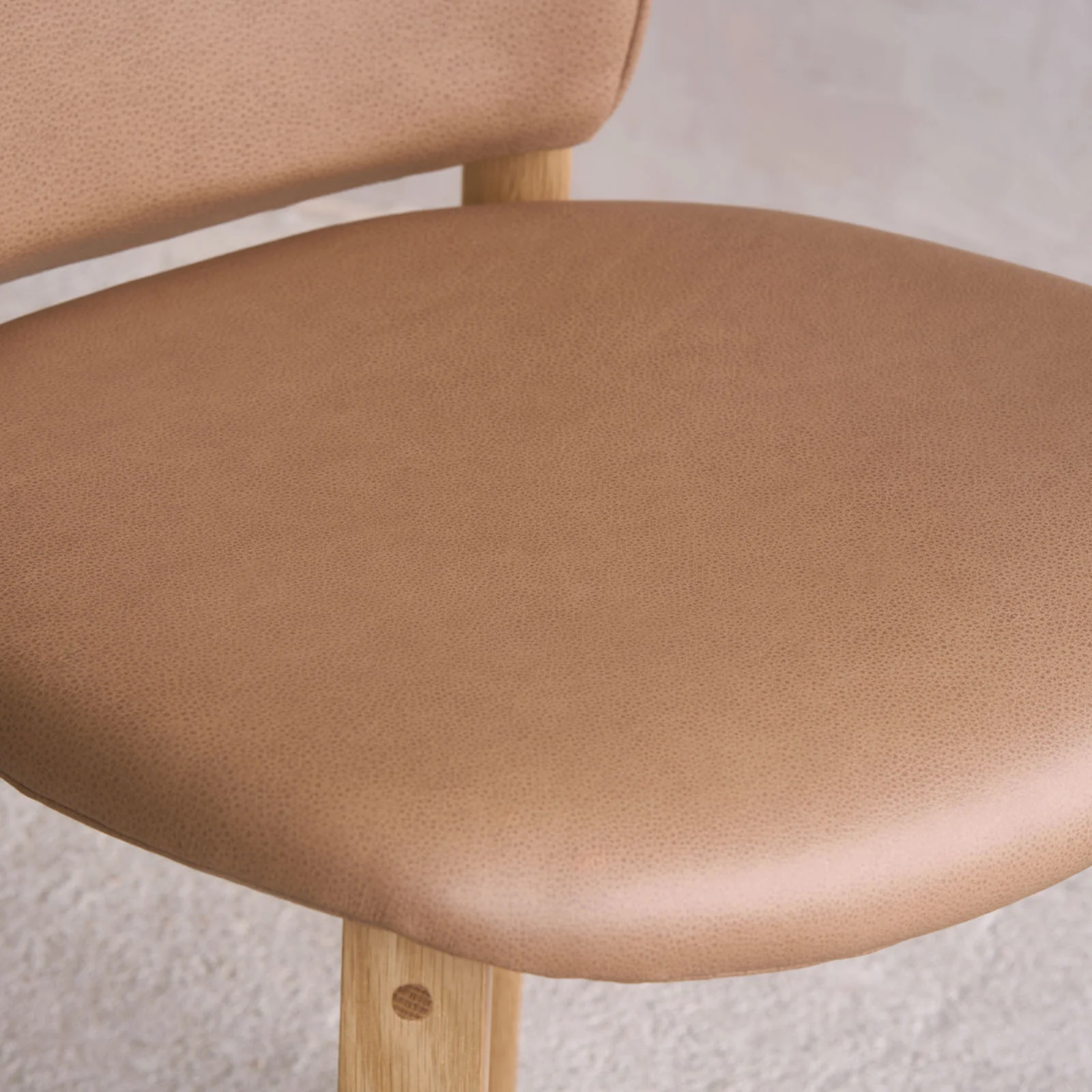Pinta Dining Chair - Image 14
