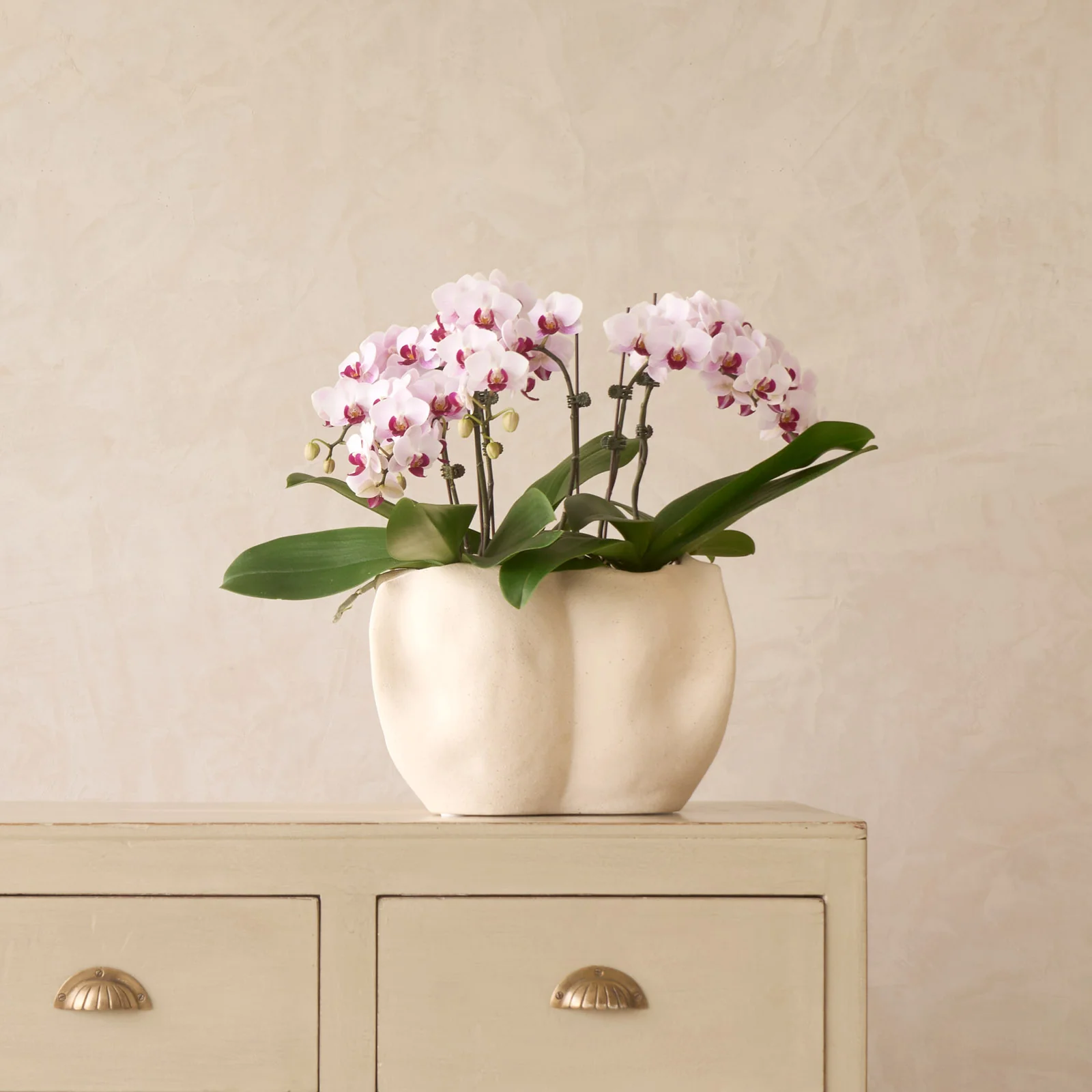 Sanguli Vase | Cream - Image 9