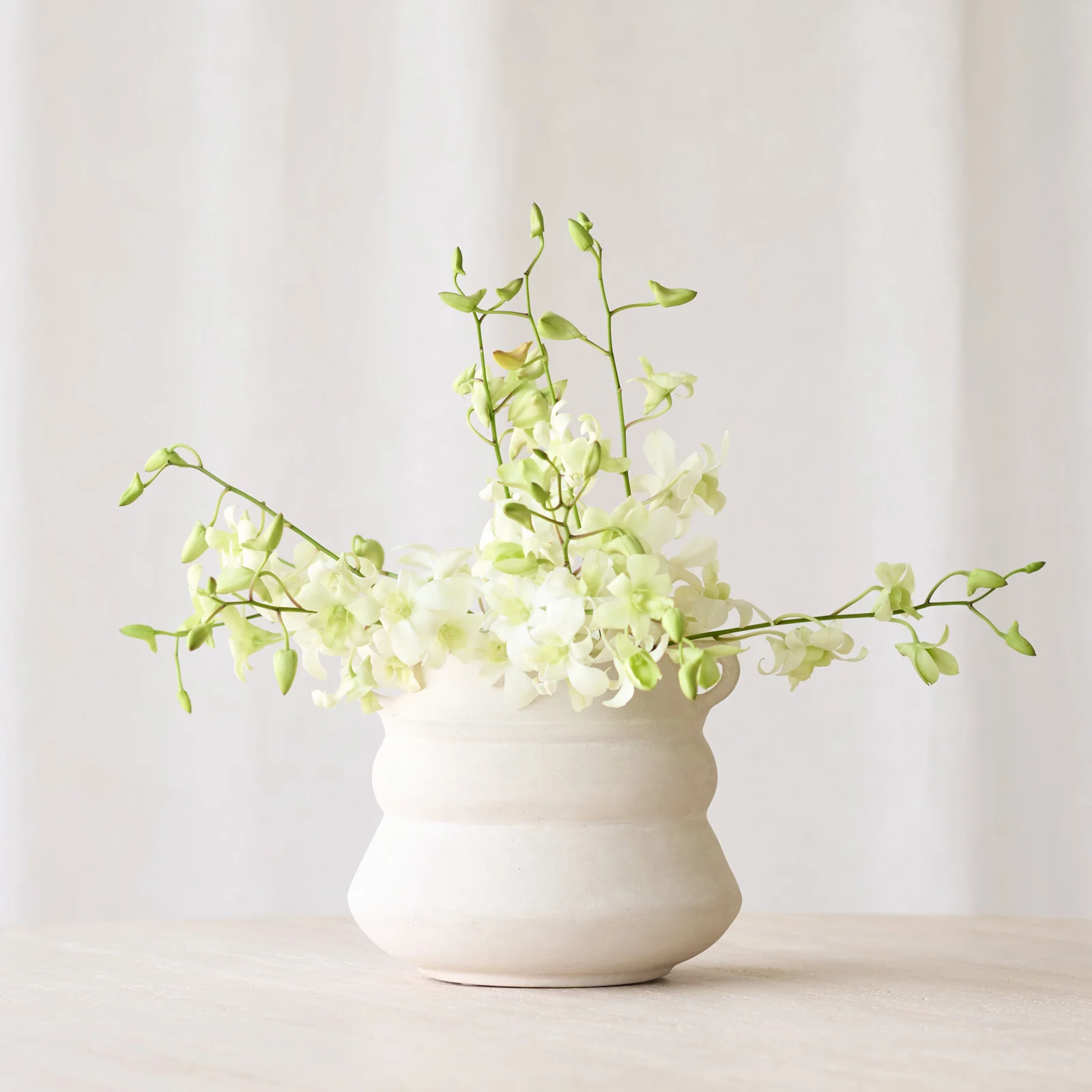 Tarifa Pot | Natural - Image 6